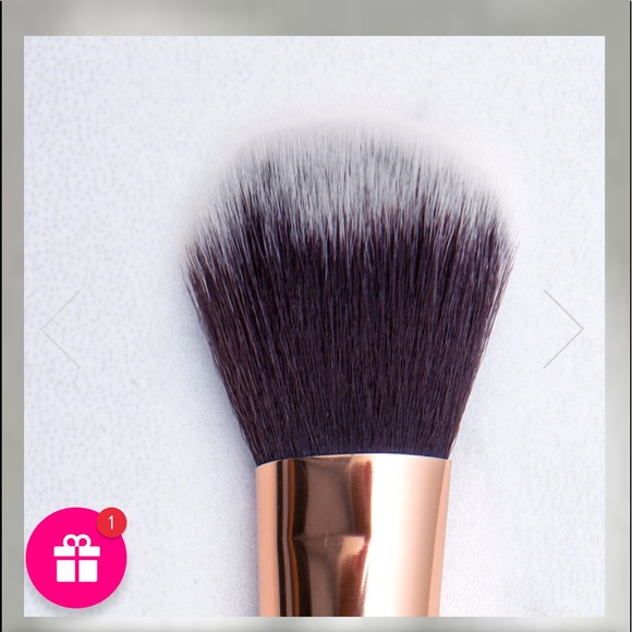 shaina b miami blush brush